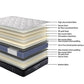 Posture Elite Medium Mattress with Base