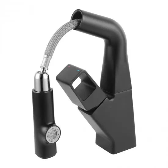 Matte Black 360° Swivel Pull-out Spout Basin Mixer Tap